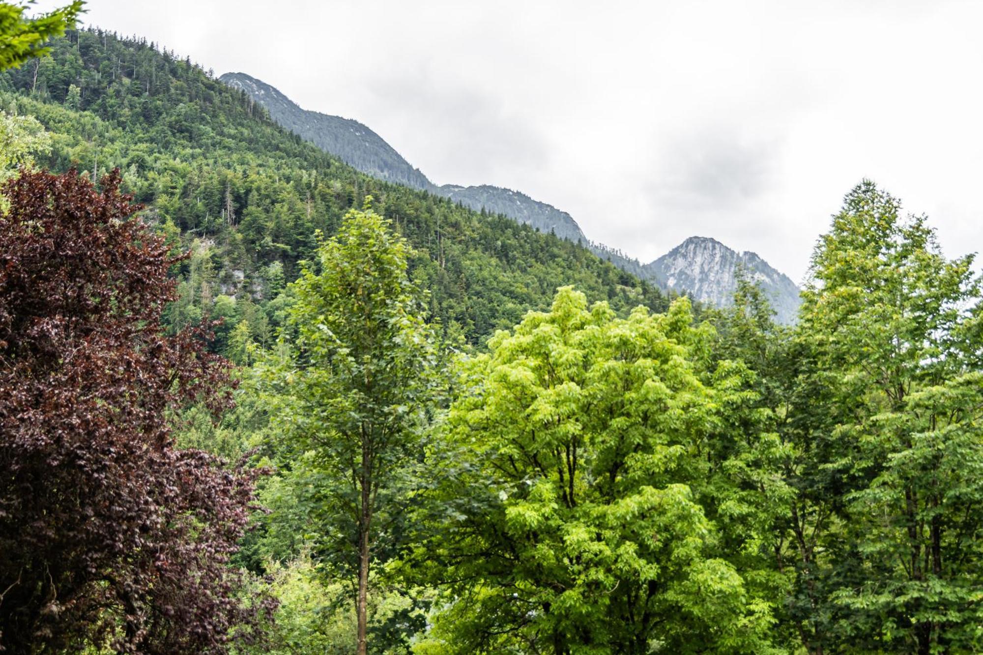 Alpin-Chalet In Alleinlage In Bad Ischl - Wald, Natur, Kamin & Sauna Exterior photo